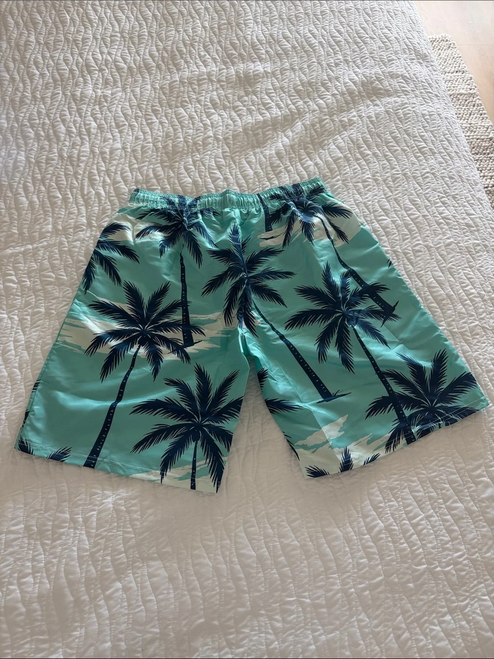 Men's Turquoise Palm Print Swim Shorts